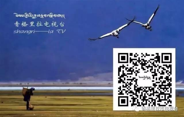 微信图片_20190712173328.jpg